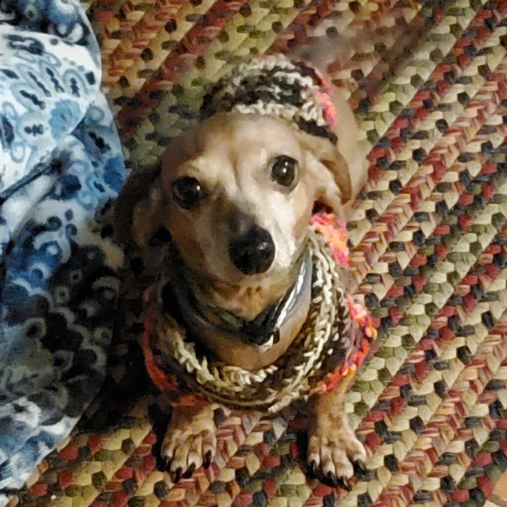 Meet your Posher, Melissa